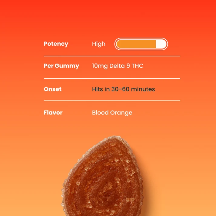 out of office gummy out of office gummy